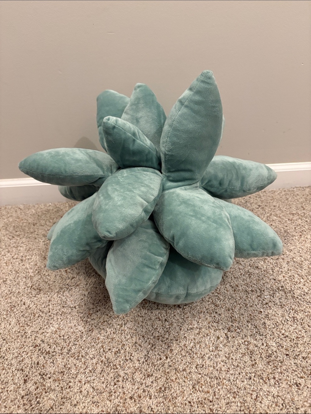 Amazon 2 Piece Plush Succulent Throw Pillow